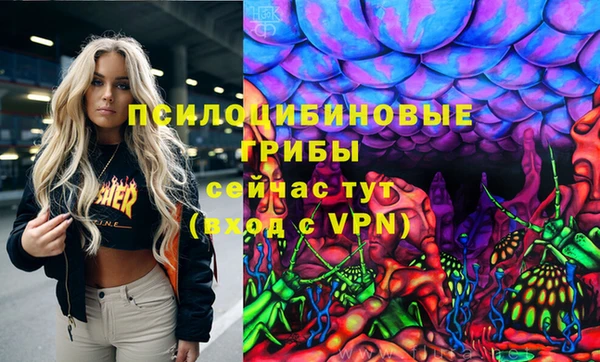 хмурый Абинск